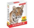 Animals Junior Flash Cards